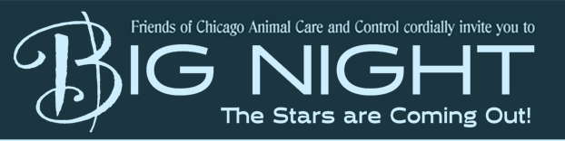 13th Annual Big Night Celebrity Chefs Event