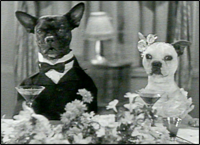 FCACC Tuxes and Tails